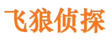 集贤市婚外情调查